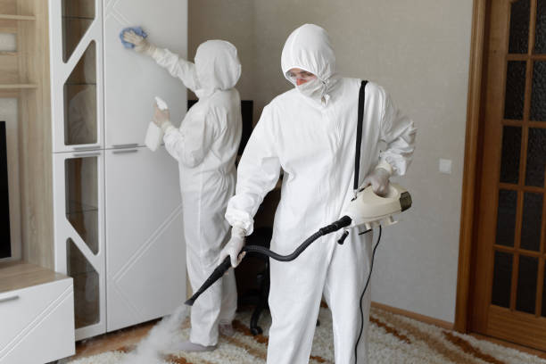 24/7 Emergency Odor Removal experts in Robbins, CA